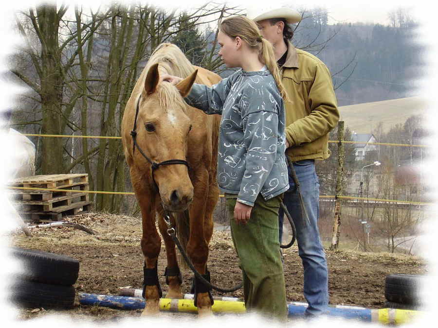 horsemanship