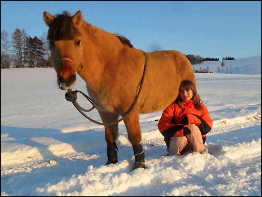 horsemanship