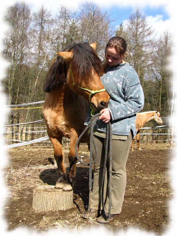 horsemanship
