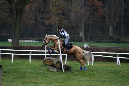 vestrannost Pardubice