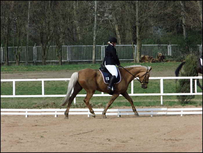 Pardubice